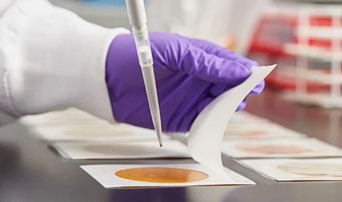 Môi trường vi sinh Petrifilm Plate