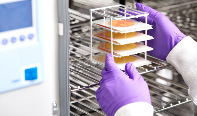 Môi trường vi sinh pha sẵn Petrifilm Plate